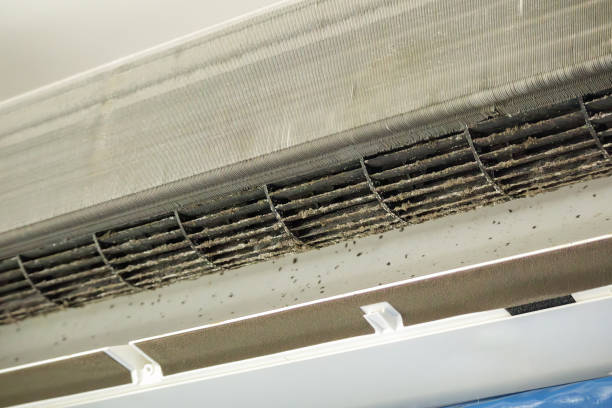 Best Affordable HVAC Duct Cleaning  in Wheeler Af, HI