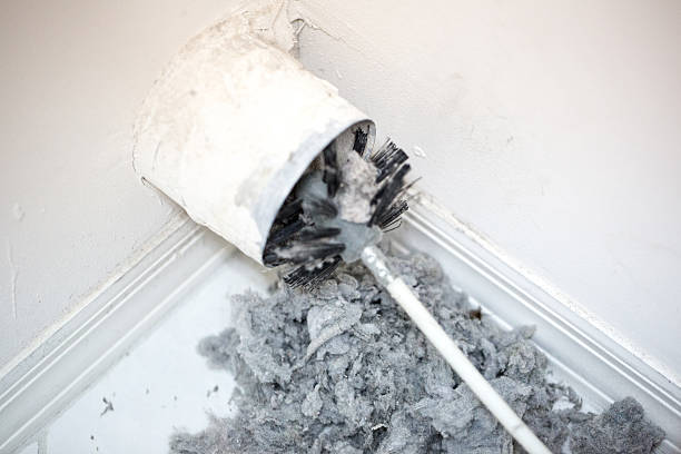Best Professional Duct Cleaning Services  in Wheeler Af, HI